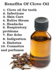 Clove Oil - Perfect for Mould