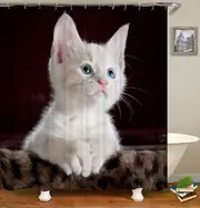 Adorable Cute White Cat Kitten Shower Curtain
