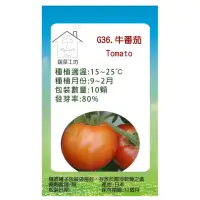在飛比找momo購物網優惠-【蔬菜工坊】G36.牛蕃茄種子