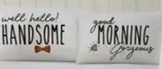 Urban Domain, 2 Standard Novelty Pillowcase | "Well hello! Handsome ...)