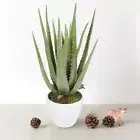 Aloe Vera Potted Artificial Fake Succulent Plants Garden Wedding Party Decors AU