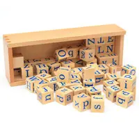 在飛比找蝦皮商城優惠-梭利蒙氏專業版 幼兒童啟蒙教具 拼音結構練習積木 中英文字母