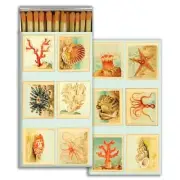 HomArt - Match Box Set of 2 - Mollusks, Coral, Seastars
