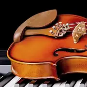 SustVita Violin Chin Rest Bracket, Wooden Chinrest for 3/4 4/4 Violins, Quality Material for Long Term Use