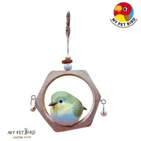 在飛比找蝦皮商城優惠-MY PET BIRD 特色造型鞦韆 綠繡眼專用 W524