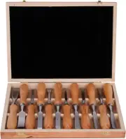 12Pcs Wood Carving Chisel Tool Set, Woodworking Gouge for Beginners Woodworker'S