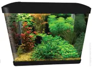 Aqua One LifeStyle Aquarium - Small