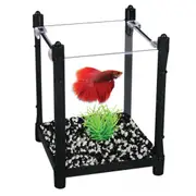 Aqua One Betta Kit BettaBloc Stackable Tank 1L - Black (56119BK)