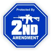 3pcs Protected 2nd Amendment Stickers Doorbell Camera Security Decals