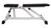 iFitness Adjustable Sit Up Bench Fitness Home Gym Hold Weight Up to 500 Kg