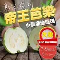 在飛比找momo購物網優惠-【果樹寶石】彰化溪州帝王芭樂大果7-9顆x1盒（約5斤/盒）