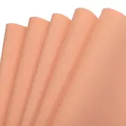 EVA Foam Sheets Skin Tone 19.7 Inch x 19.7 Inch 1mm Thick Crafts Sheets 5Pcs
