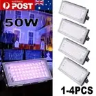 50W UV Black Lights Spotlights LED Floodlight Waterproof Party DJ Stage Light AU