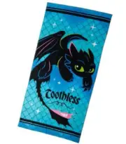 ~ How to Train Your Dragon Beach Towel ~ Toothless Beach Towel ~