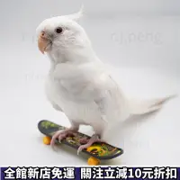在飛比找蝦皮購物優惠-耶誕節✨ 鸚鵡寵物小滑板 鸚鵡用品 寵物玩具