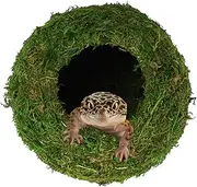 USMOLA Mossy Caves, Artificial Green Moss Caves Hide for Pet Reptile Frogs and Snakes, Terrarium & Vivarium Decor, Crested Gecko Tank Decor (4" - Woodland Green)