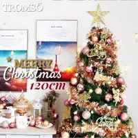 在飛比找ETMall東森購物網優惠-【TROMSO】 120cm/4呎/4尺-北歐絕美聖誕樹-奢