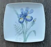 Lenox, Artist Sketchbook, Agapanthus Iris, Square Accent Plate ~new~