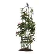 Garden Trellis,Tomato Cage for Climbing Plants Outdoor, Plants Trellis 1 Pack