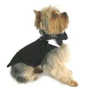Black Dog Harness Tuxedo w/Tails, Bow Tie, and Cotton Collar Small
