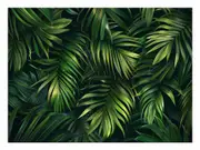 Palm Leaves Canvas Print