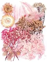 Mini Colorful Natural Pressed Flowers for Art Crafts DIY ,Bulk Decorative Real Dried Flowers and Leaves for Resin Molds, Soap, Candles, and Scrapbooking(Pink)