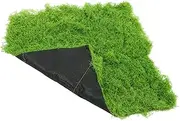 Artificial Moss Like Fake Moss Turf Pad for Home Micro Landscape Bonsai and Terrariums Durable Material Woodland Theme