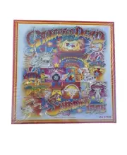 Deadstock GRATEFUL DEAD Summer 1995 Tour 500 Piece Puzzle By SunsOut GD 37510