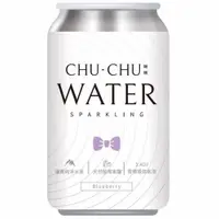 在飛比找PChome24h購物優惠-CHUCHU啾啾藍莓氣泡水 330ml x 24罐