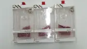 Lot of Case-Mate Naked Tough Waterfall Case Google Pixel XL 5.5" x3 x5 x10