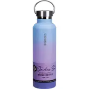Insulated Stainless Steel Bottle (Balance) - 750mL