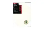 Jasart: Studio Thick Edge Canvas - 14 x 18