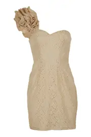 Lace Corsage Dress--BLU-1111BW4119