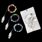 2M 20Led 30Led Usb Operated Mini Led Copper Wire String Fairy Lights FeSJ SFK
