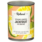 Roland Jackfruit In Brine 19 oz (Pack of 12)