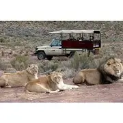 Save 10.00%! Sunset Big 5 Aquila Safari Snacks and Wine Tasting