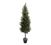 42" Frosted Spruce Tree in Pot by Valerie -h228896 -