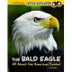 The Bald Eagle: All about the American Symbol