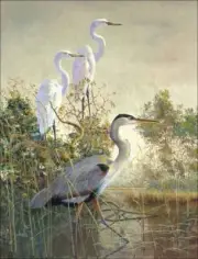 Heron Egret Accent & Decor Tile Robert Binks Wildlife Art REB012AT