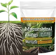 Plant Growth Promoter - 100g Plant Enhancer Nutrient Powder,Balanced Formula Planting Tool for Hydroponics, Mixed Culture, and Soil Culture
