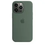 Silicone Case With Magsafe For Iphone 13 Pro Phone Case Eucalyptus