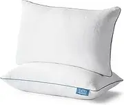 LUCID Adjustable Premium Shredded Memory Foam Pillow-Hypoallergenic-Moldable Loft-2 Pack, Standard, White 2 Count, LUSS02SD