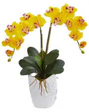Nearly Natural Double Phalaenopsis Orchid Artificial Arrangement in White Ceramic Vase