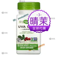 在飛比找蝦皮購物優惠-特惠新包裝熊果葉茶480mg 100粒 Uva Ursi 美