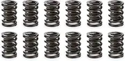 Valve Spring