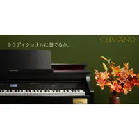 在飛比找蝦皮購物優惠-『放輕鬆樂器』 全館免運費 日本原廠 CASIO CELVI