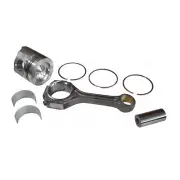 2W1177 Piston & Rod Group Fits Caterpillar D250B D250E D250E II D25C D25D D300B