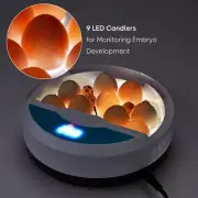 9 Egg Incubator Fully Automatic Digital Temperature Chicken Duck Eggs Poultry
