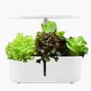 Hydroponics Growing System Indoor Garden Herb Garden Kit Indoor with LED Grow Li