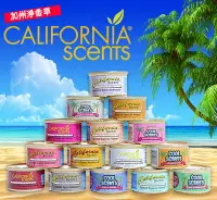 在飛比找樂天市場購物網優惠-California Scents加州淨香草~芳香劑42G 